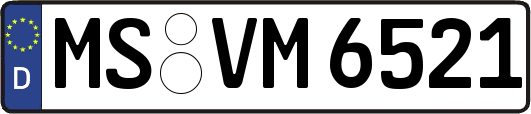 MS-VM6521