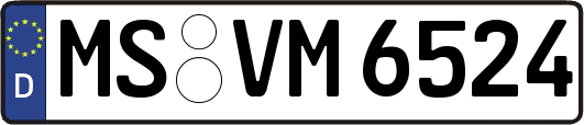 MS-VM6524
