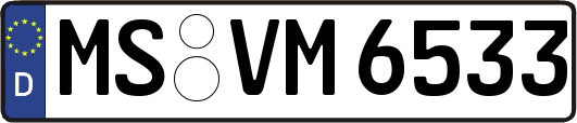 MS-VM6533