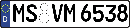 MS-VM6538