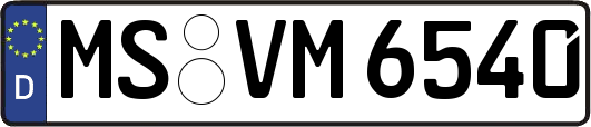 MS-VM6540