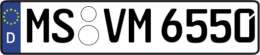 MS-VM6550