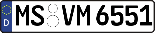 MS-VM6551