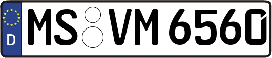 MS-VM6560