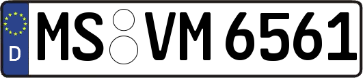 MS-VM6561