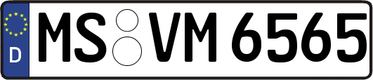 MS-VM6565