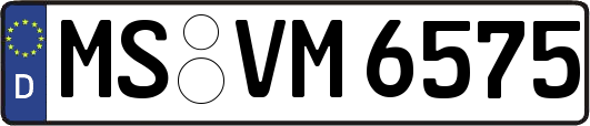 MS-VM6575
