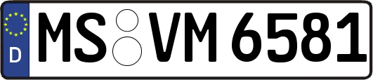 MS-VM6581