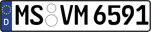 MS-VM6591