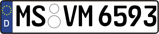 MS-VM6593