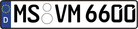 MS-VM6600