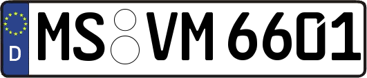MS-VM6601