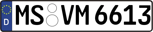 MS-VM6613