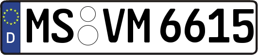 MS-VM6615