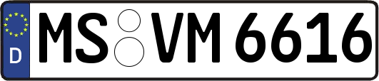 MS-VM6616