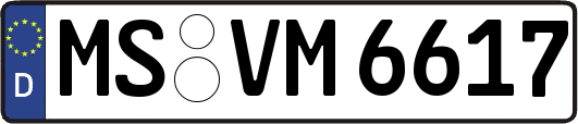 MS-VM6617