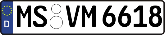 MS-VM6618