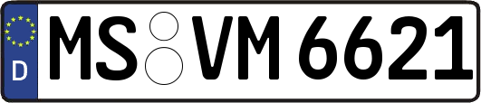 MS-VM6621