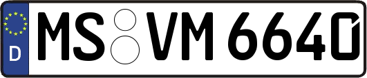 MS-VM6640