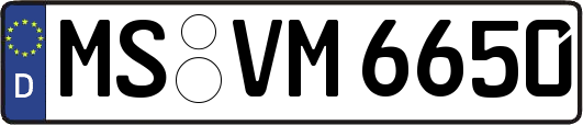 MS-VM6650
