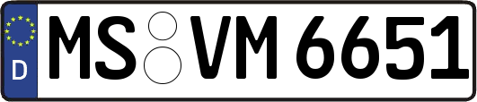 MS-VM6651