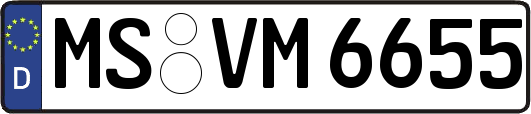MS-VM6655