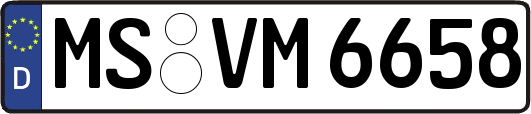 MS-VM6658