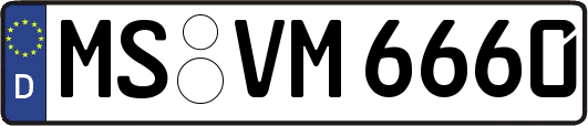 MS-VM6660