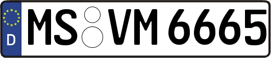 MS-VM6665