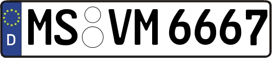 MS-VM6667