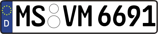 MS-VM6691