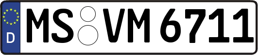 MS-VM6711