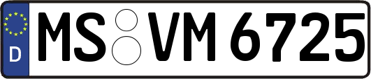 MS-VM6725