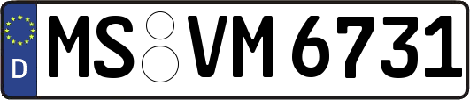 MS-VM6731