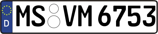 MS-VM6753
