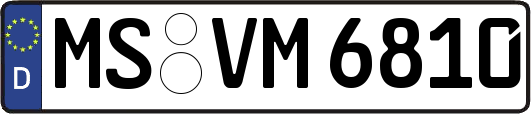 MS-VM6810