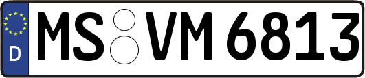 MS-VM6813