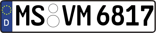 MS-VM6817