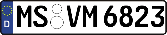 MS-VM6823