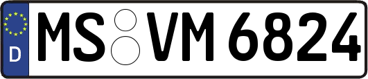 MS-VM6824