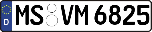 MS-VM6825