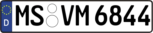 MS-VM6844
