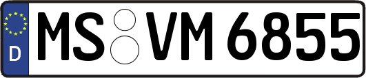 MS-VM6855