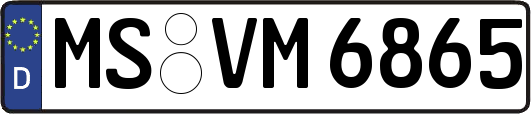 MS-VM6865
