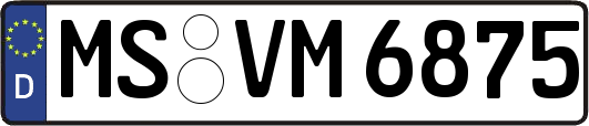 MS-VM6875