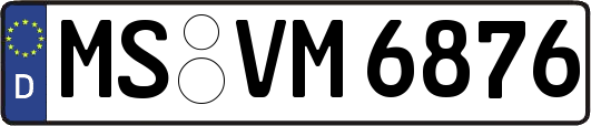 MS-VM6876