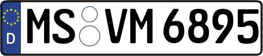 MS-VM6895