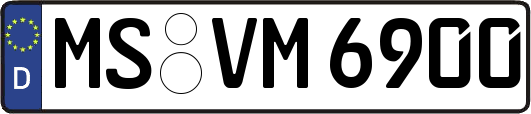 MS-VM6900
