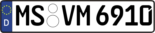MS-VM6910
