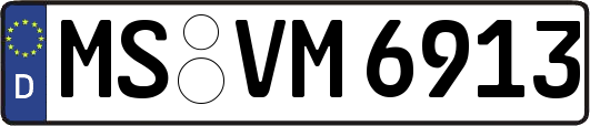 MS-VM6913